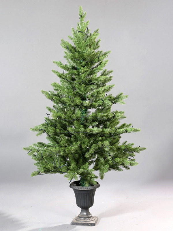 鉢植えのクリスマスツリー 9A3A8774