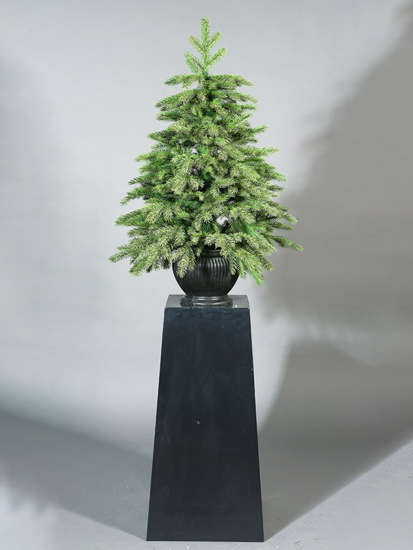 鉢植えのクリスマスツリー 9A3A8864